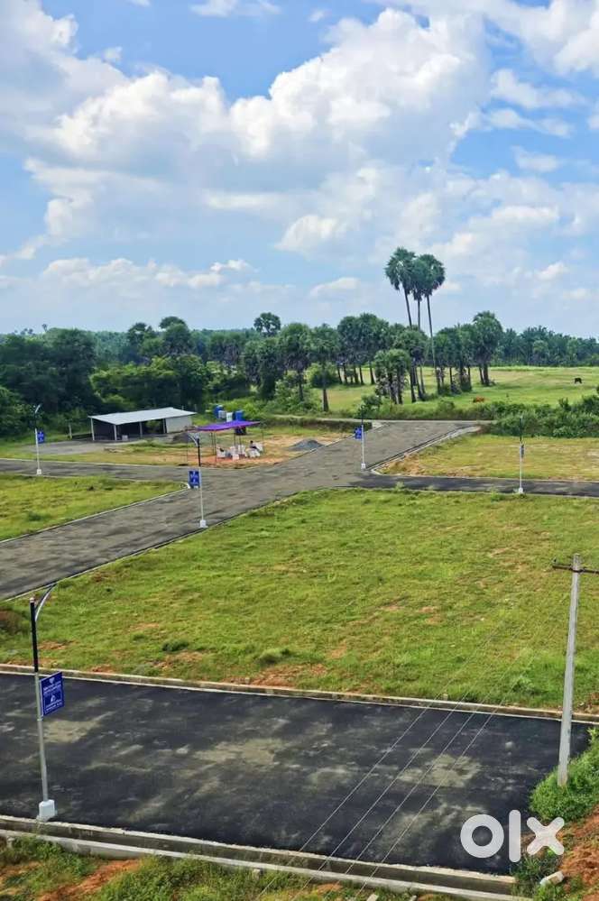 கோயம்புத்தூர் கிணத்துக்கடவு