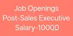 Sales Executive