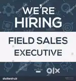 REQUIRED FIELD EXECUTIVE IN PVT.LTD COMPANY