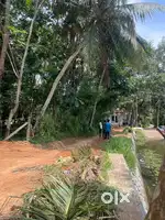 PANCHAYATH JUNCTION DHANUVACHAPURAM PLOTS