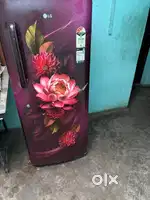 LG REFRIGERATOR 224 L 3 STAT
