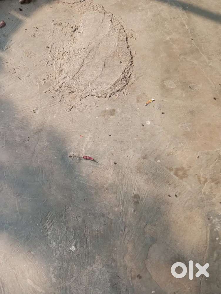 New frige in no start to give