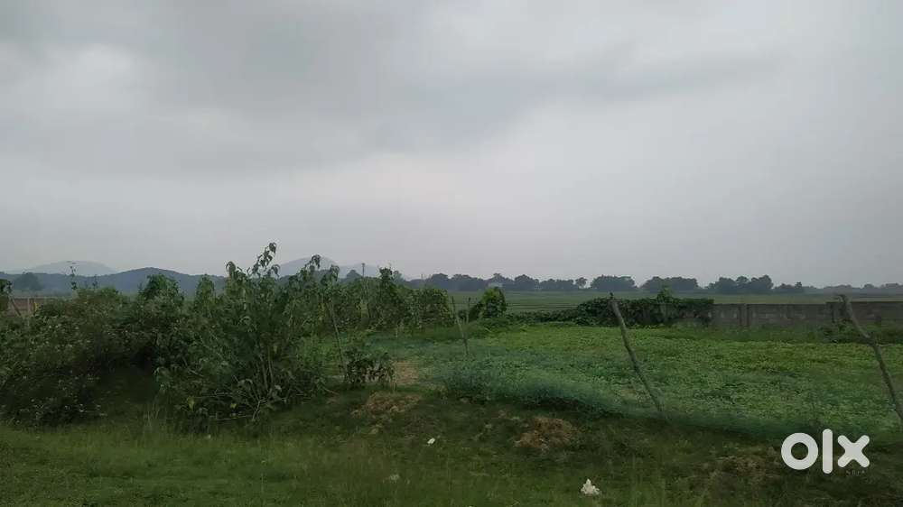 50 decimal plot for sale on road