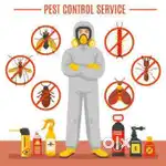 Budget friendly Pest control services done .. start at @699 only