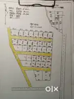 Yellow zone
