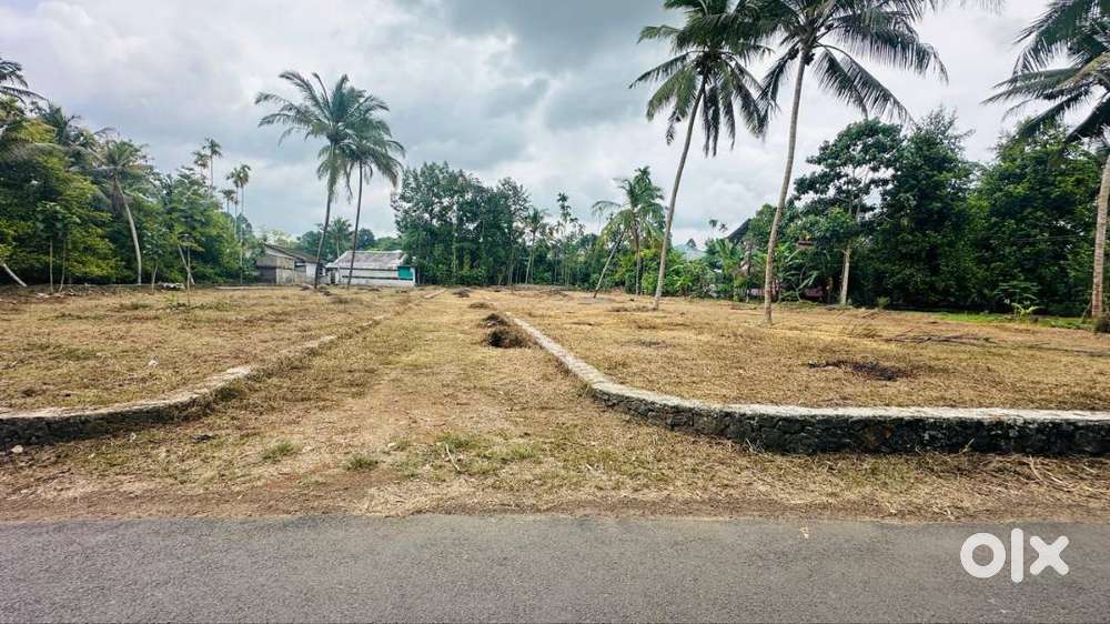 മൂക്കന്നൂരിൽ സ്വപ്നഭൂമി – മികച്ച വിലയിൽ ഇപ്പോൾ തന്നെ