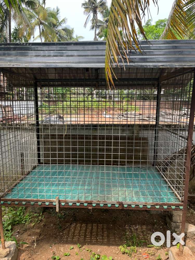 Dog  cage big size