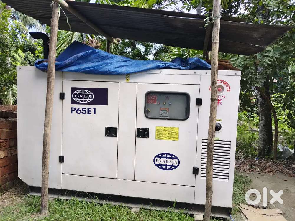 F G willson dg 65 kva new condition Sell 110 hours running only