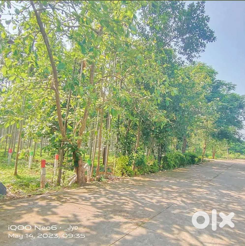 Low budget farmland for sale