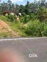 37 cent plot