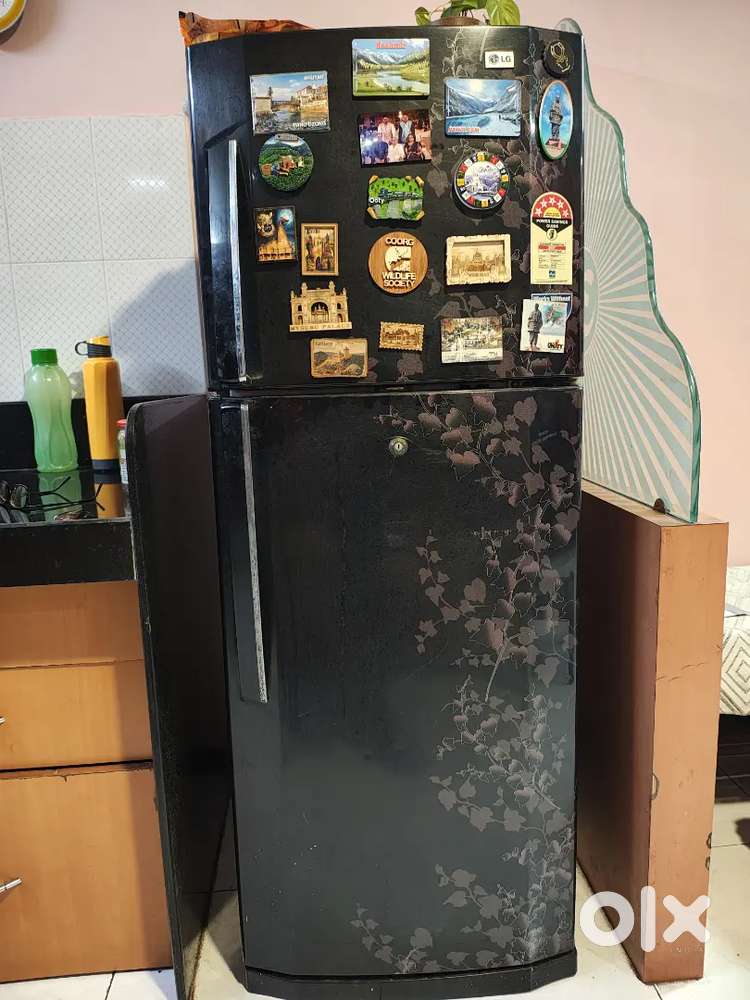 LG 240L 5-Star Double Door Refrigerator (Frost Free)