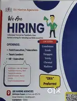 Banking Collection Field Executive