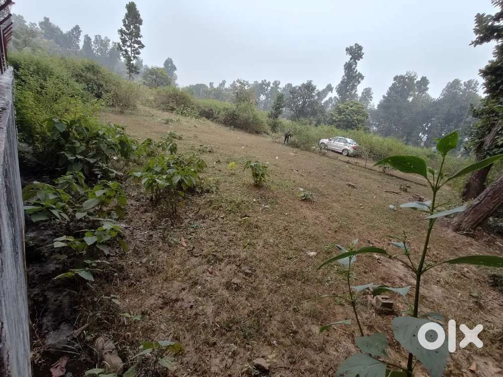 Plot for sale
