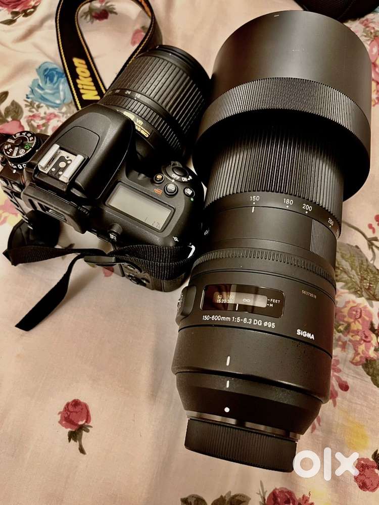 Nikon D7500 + Nikorr 18-140mm lens + Sigma 150-600mm Telephoto lens