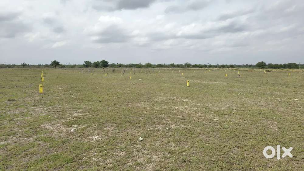 100 SQYDS LAND 4 LAKHS ONLY