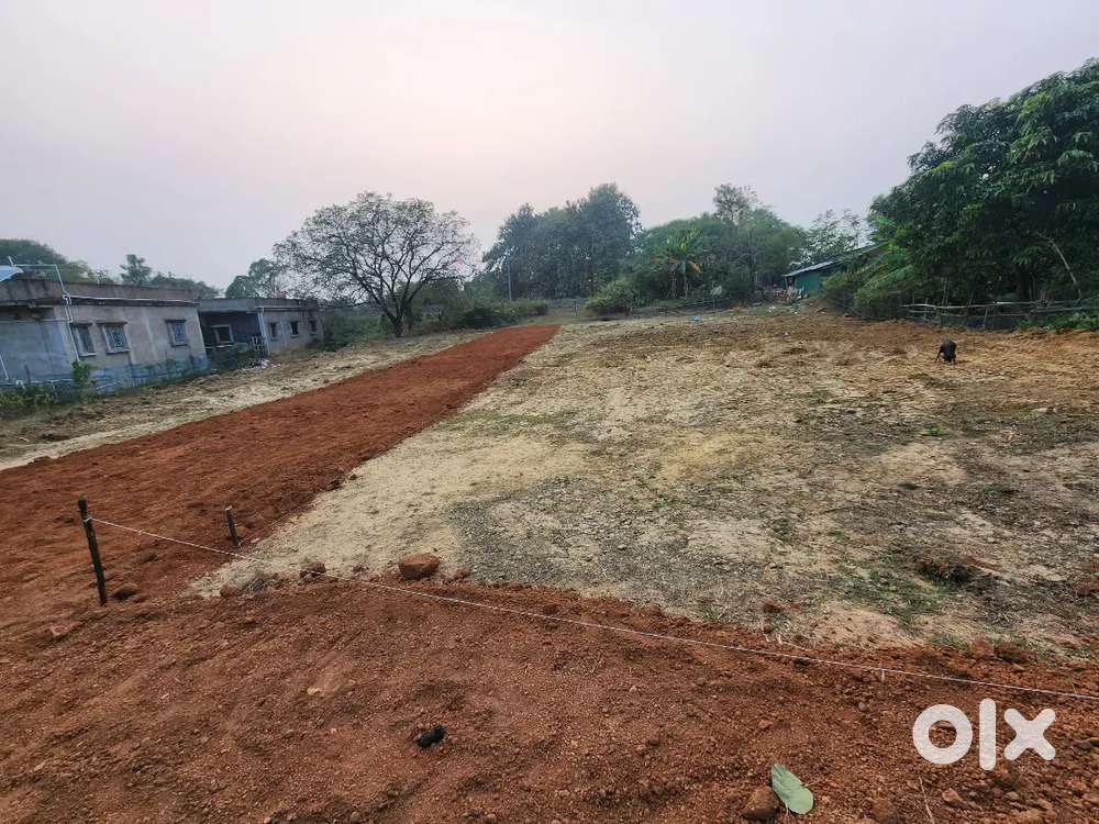 Gharbari plotting project damdarpur 120mtr from national highway