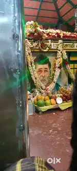 T nagar  daddy's biryani