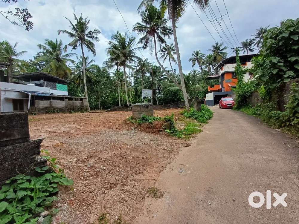 Vazhayila.. 9 Cent Land For Sale..Per Cent ₹ 8.5 Lakh