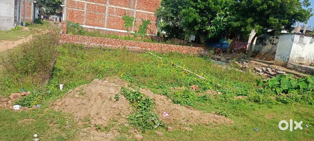 Plant bech rahe hain ₹2800 squire feat