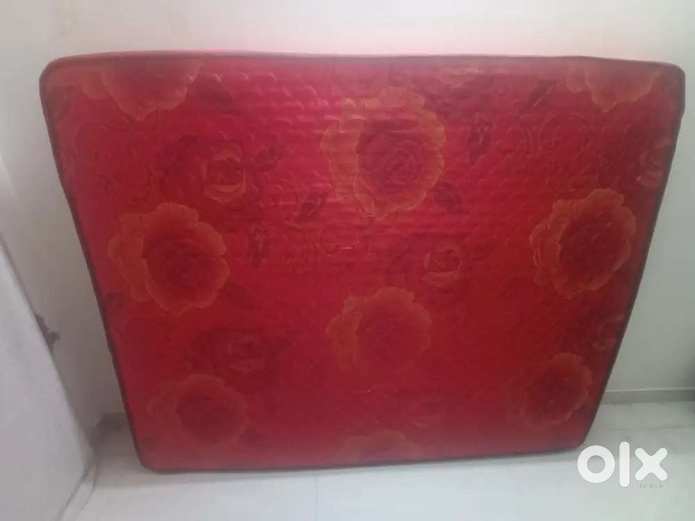 75*60 Queen size non foam bed @1499