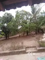Agriculchar land
