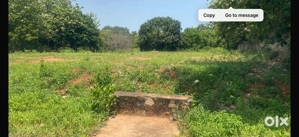 Kattimangodu 26 Cents Bus Route Land sale