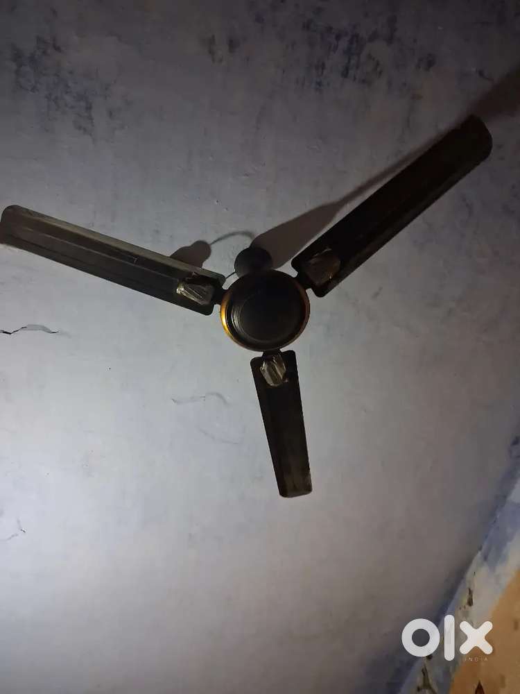 Ceiling fan