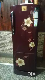 Frig for sale in low price