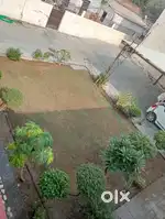 near by sec 39