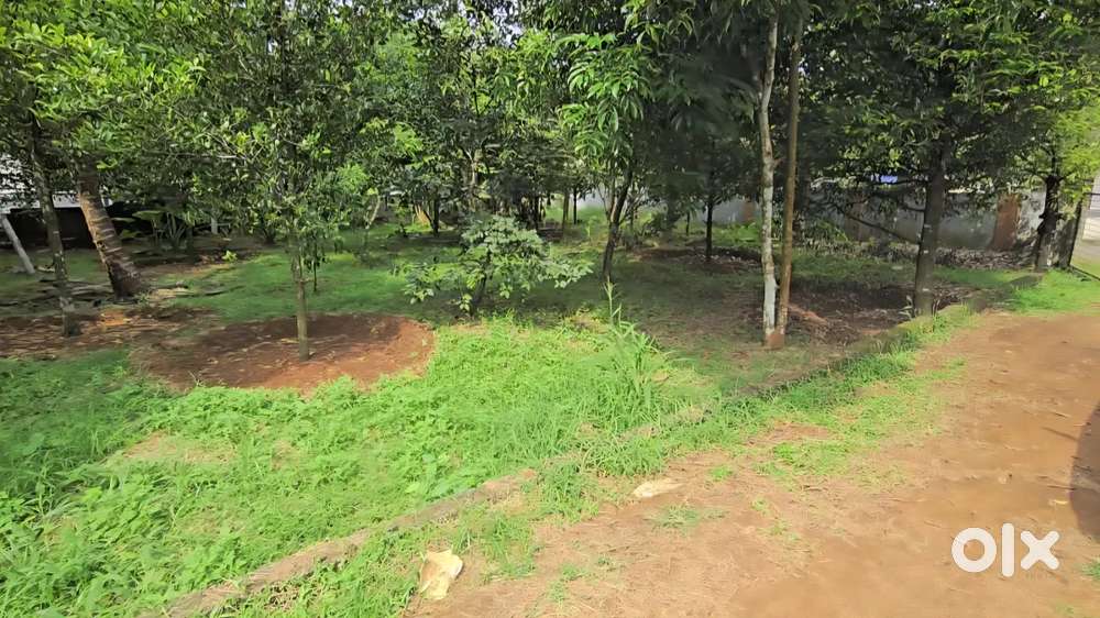 Chalakkudy koratty 7.5 cent house plot for sale immediately
