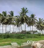 1 AECAR 2 AECAR 3 AECAR RAMANAGARA CHANNAPATANNA HAROHALLI