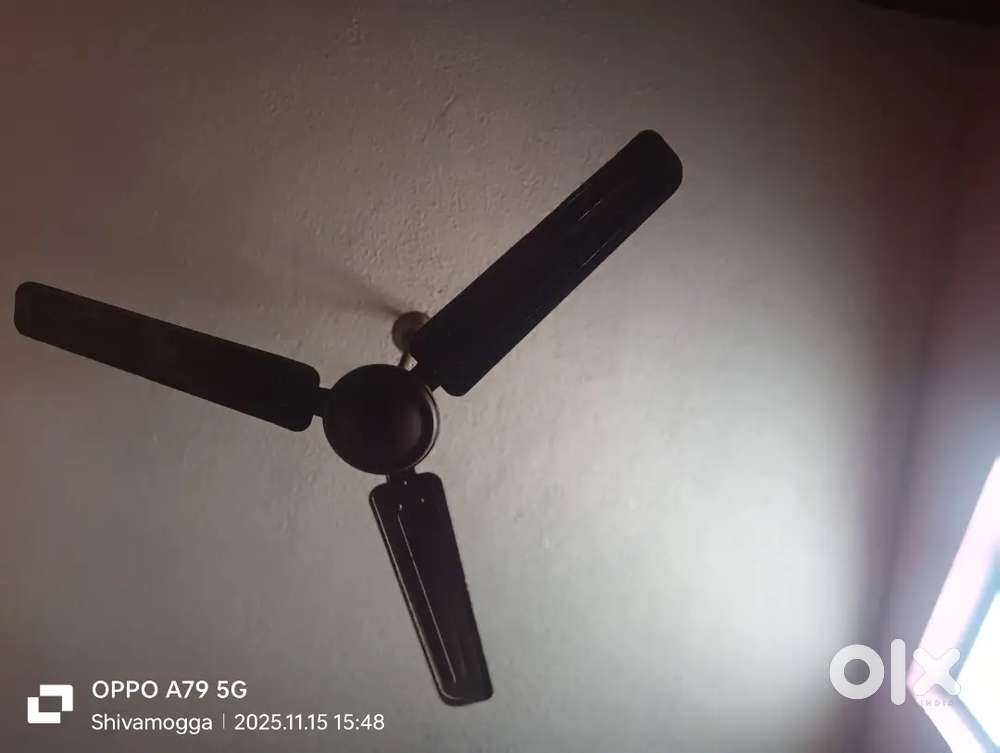 Only for vegetarians