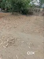 2 BIGHA TRIBAL LAND FOR SALE IN KHORIBARI, DUDHA