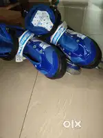 Skating shoes