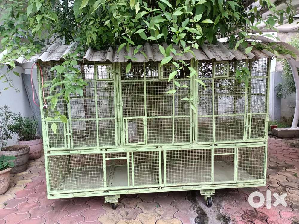 Sturdy and tastefully made birds cage (Pinjara)