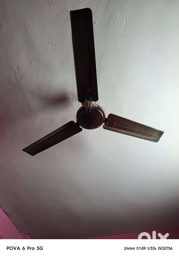 Fan, Gas Stove, Mixie, Chair & Iron box etc,..