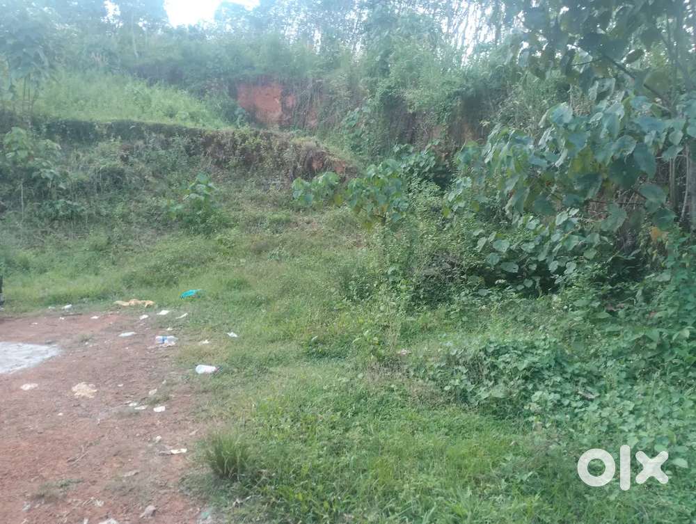 ടാർ  റോഡ്  സൈഡിൽ 95  സെന്റ്  വസ്തു  വില്പനക്ക്