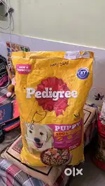 Dog Food Available in 50% Off