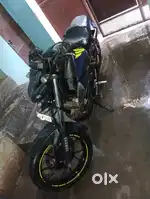 Mt-15 2019