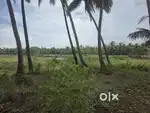 Field view plot for rent best for cortages