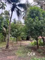 Plot and farm house