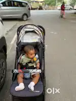 Stroller pram r for rabbit