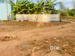 Low budget properties sale ( Brokers No call )