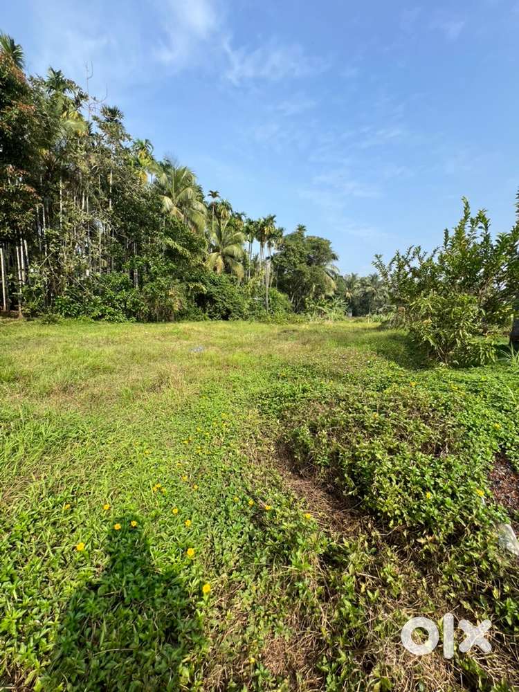 plot for sale. Good for housing