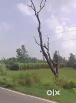 4 Bigha Land on Road for sale