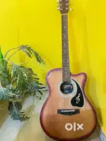 Stanwood / GUITAR / MUSICAL Instrument / new