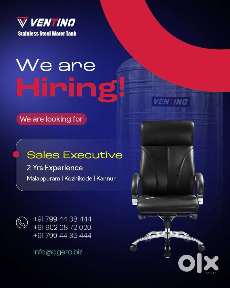 Experienced Sales Executive