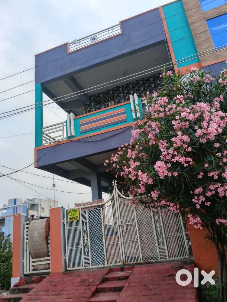 LADIES PG (NEW BUILDING AND HOMELY ENVIRONMENT)