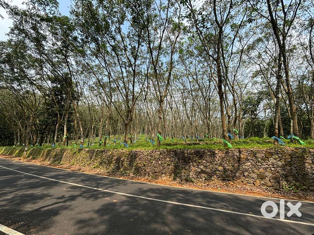 Best land for any projects