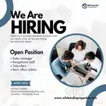 Tellecalling executive required